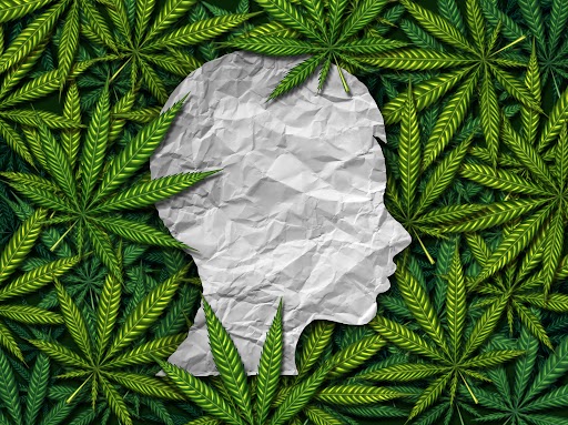 white head silouhette surrounded by marijuana leaves
