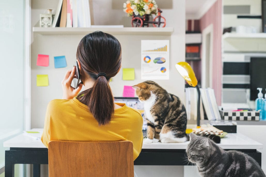 Woman working from home with cats